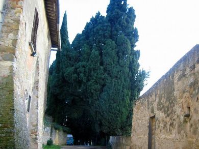 Ancient stone Tuscany country home that sleeps six Ancient stone Tuscany country home that sleeps six